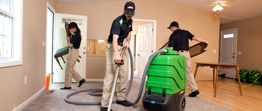 Elk Grove, IL cleaning services